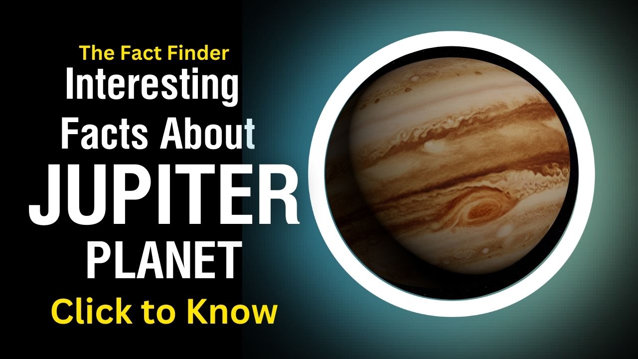 YouTube Thumbnail Designs